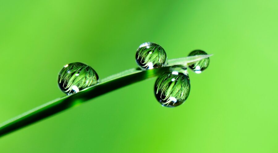 Everything You Need to Know about Green Commercial Cleaning Services