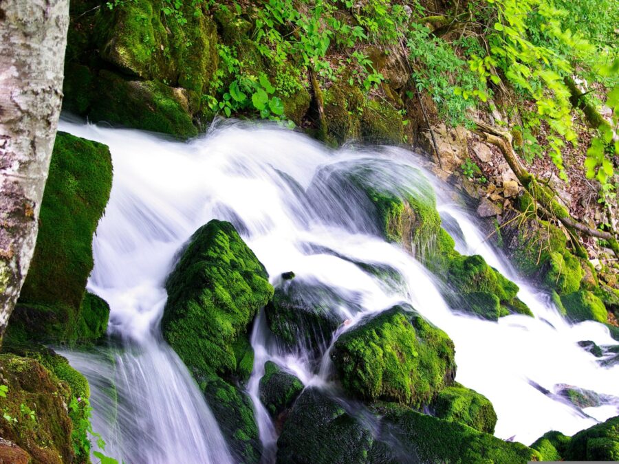Why a Green Commercial Cleaning Company is Better Than a Traditional Company