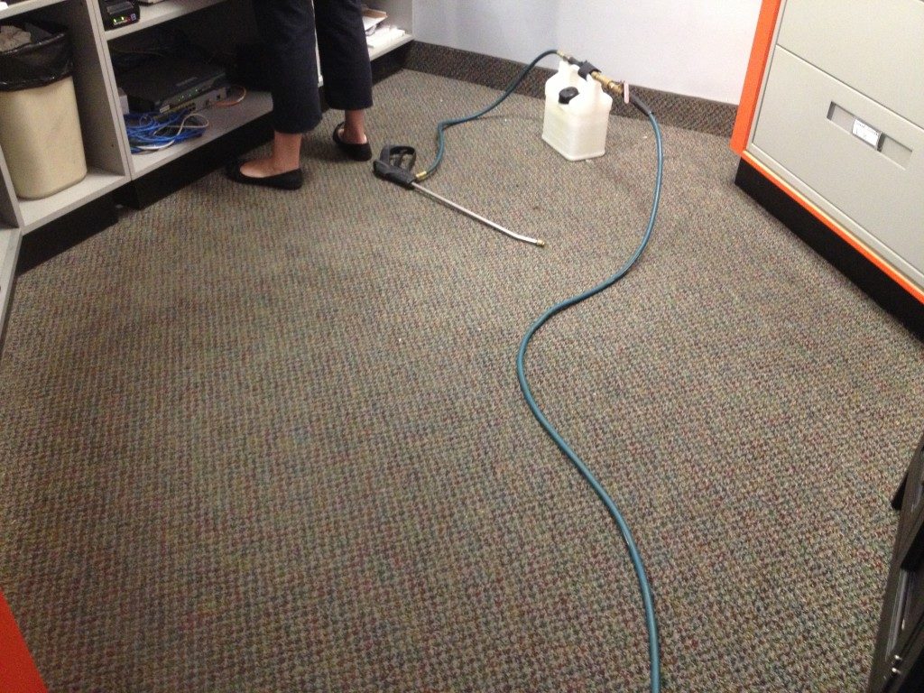 carpet-cleaning-3-1024x768